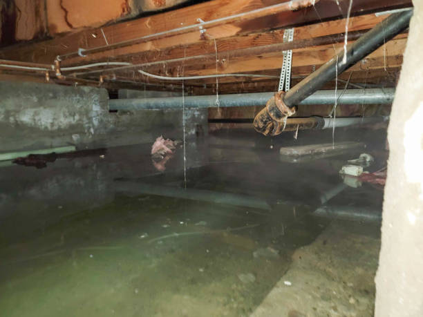 Fire Damage Restoration in North Hornell, NY