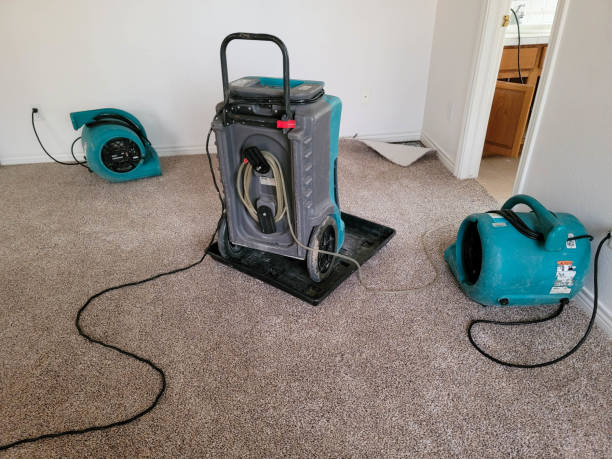 Best Professional water damage repair  in North Hornell, NY