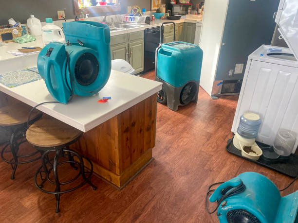 Best 24-hour water damage restoration  in North Hornell, NY