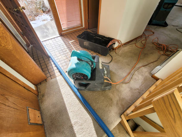 Water damage restoration mold remediation in North Hornell, NY