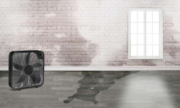 Best Flood restoration services  in North Hornell, NY
