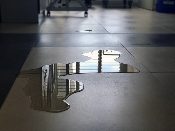 Best Commercial water damage restoration  in North Hornell, NY