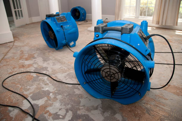 Best Water damage restoration mold remediation  in North Hornell, NY