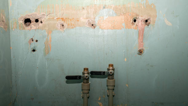 Best Water damage restoration experts  in North Hornell, NY