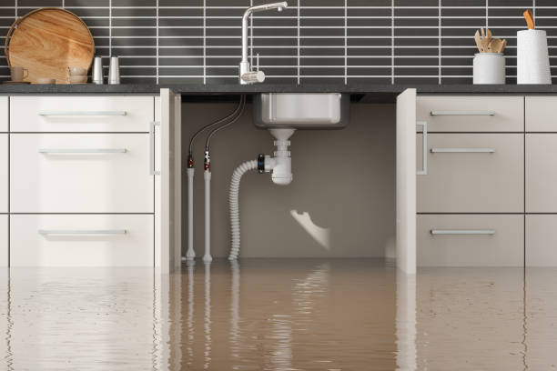 Best Flooded house restoration  in North Hornell, NY