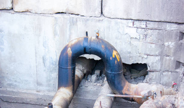 Best Mold removal after water damage  in North Hornell, NY