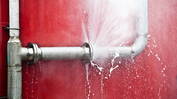 Best Local water damage restoration  in North Hornell, NY